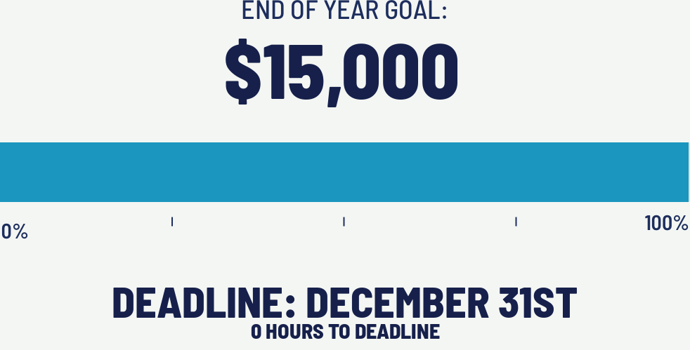 Thermometer of EOY goal progress
